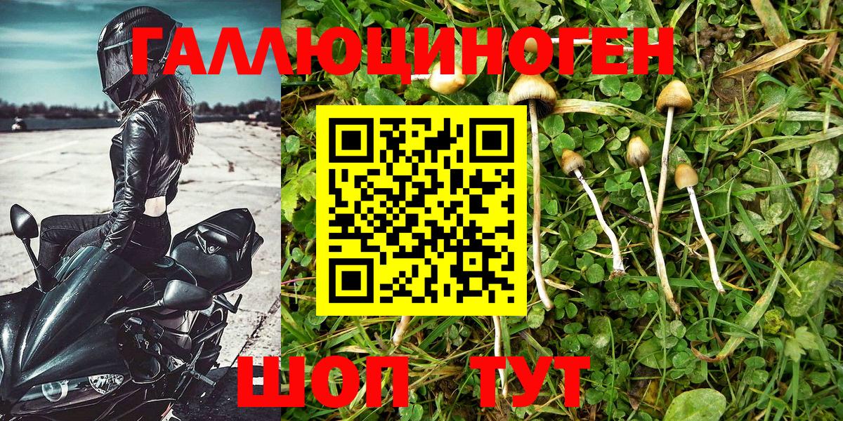 Корсаков  Галлюциногенные грибы Cubensis  Псилоцибиновые грибы мухоморы  Вход с VPN 